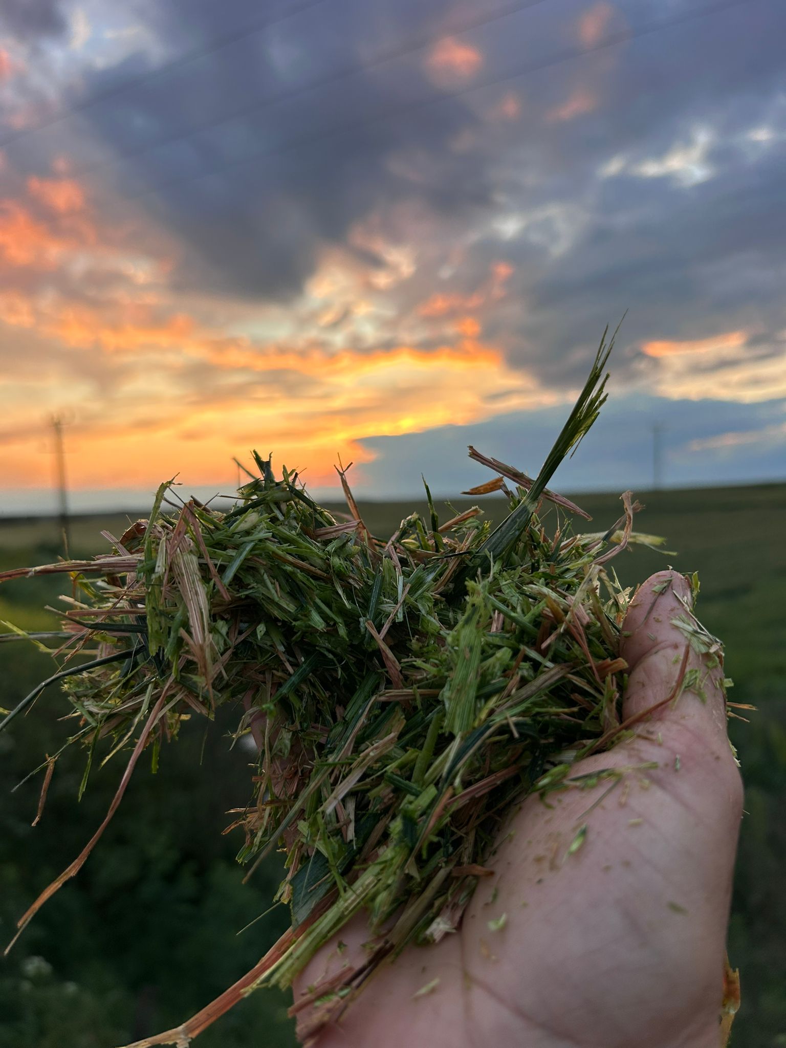 Tesis Görüntüsü 1